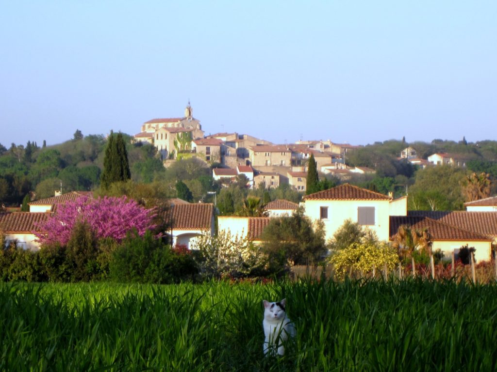 TEYRAN AU COEUR - Photo de Teyran